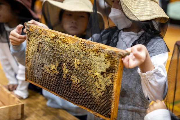 ゲラン　サステナビリティ　アベイユ ロイヤル　養蜂　SDGs　BEE SCHOOL　ミツバチ-4