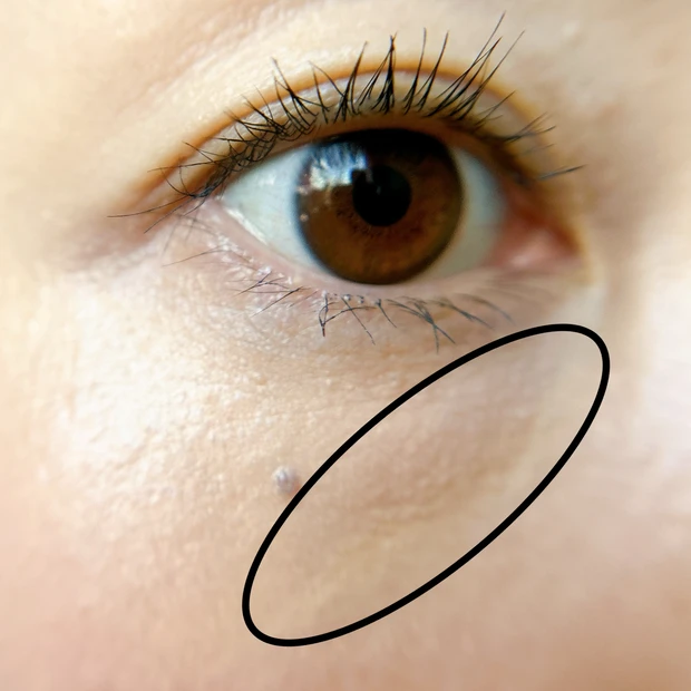 スタジオ クロマグラフィック ペンシル NC15/NW20 スウォッチ