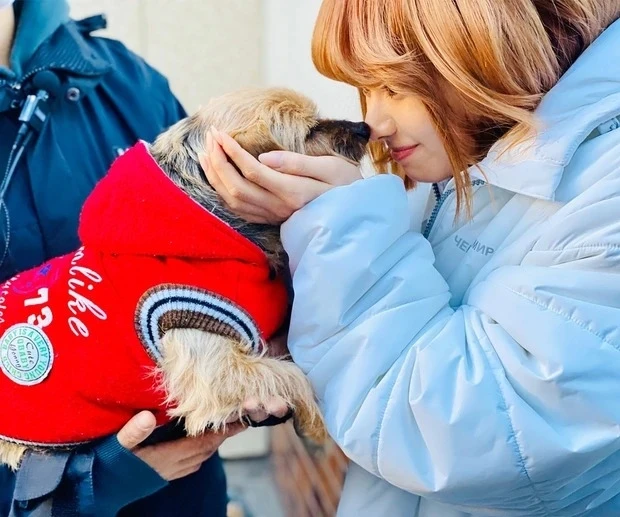 『今日から俺は!!劇場版』にて、山本舞香さんがスケバン・森川涼子役で出演中！