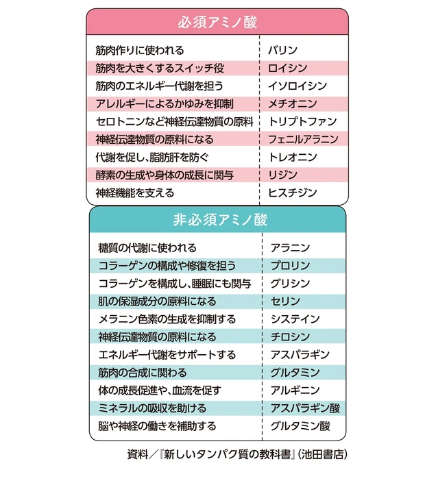 必須アミノ酸&非必須アミノ酸の種類
