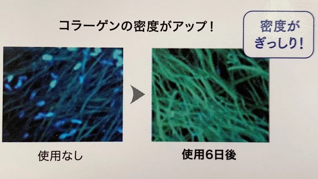 【ファンケル美容液最高峰のエイジングケア美容液 コアエフェクター】選び抜かれた成分"チオレドキシン"が肌のコアにアプローチ！トラブルが起きにくい肌・跳ね返す肌へと導く_4_2