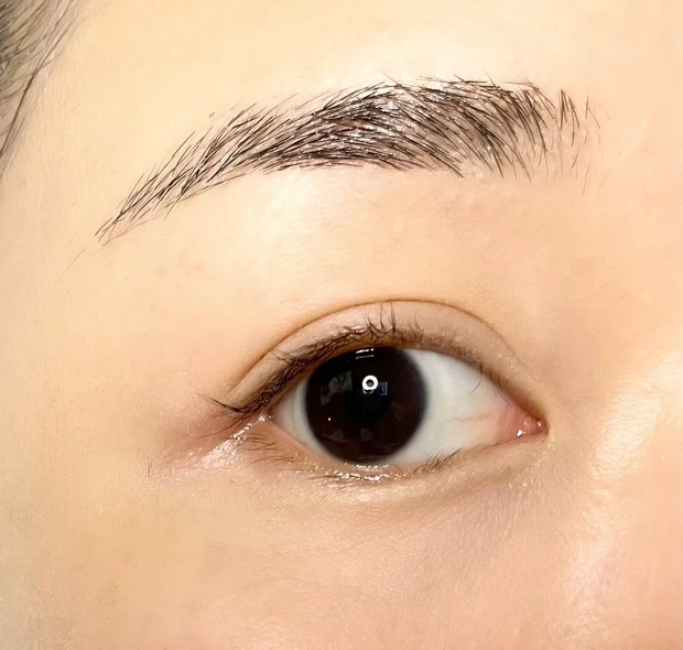 【秋コスメ】毛を制する者は秋メイクを制す!アディクションの2021秋・新作ニュアンスカラーマスカラ&アイブロウマスカラで晩夏の色気は作れる!_3_1