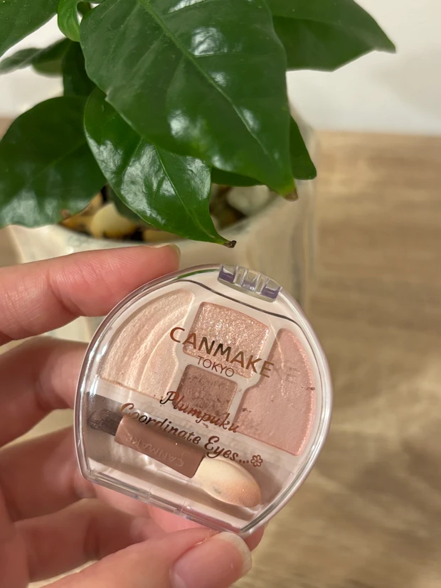 【キャンメイク】プランぷくコーデアイズ N01をレビュー|大人の涙袋メイクにもおすすめ_1