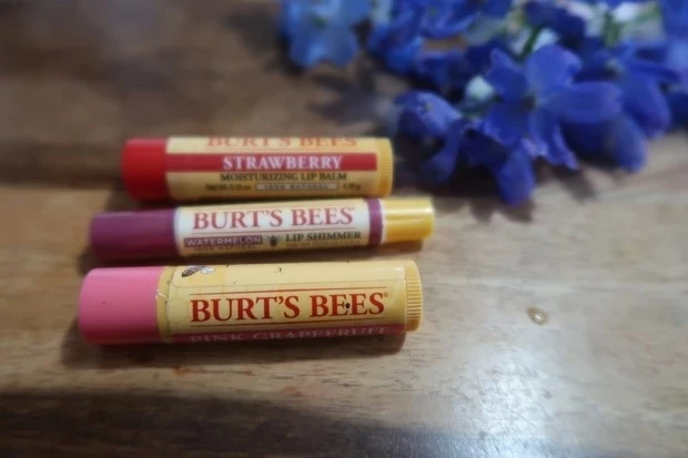 YUNOさんおすすめのリップバーム&リップクリーム_BURT′S BEES