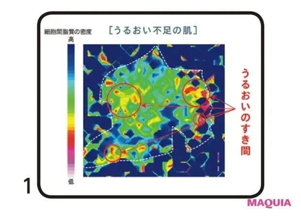 【冬のスキンケア】乾燥や紫外線、花粉などから肌を守るためのスキンケアは? 保湿と免疫力アップで肌エネルギーの高い肌になる方法_4