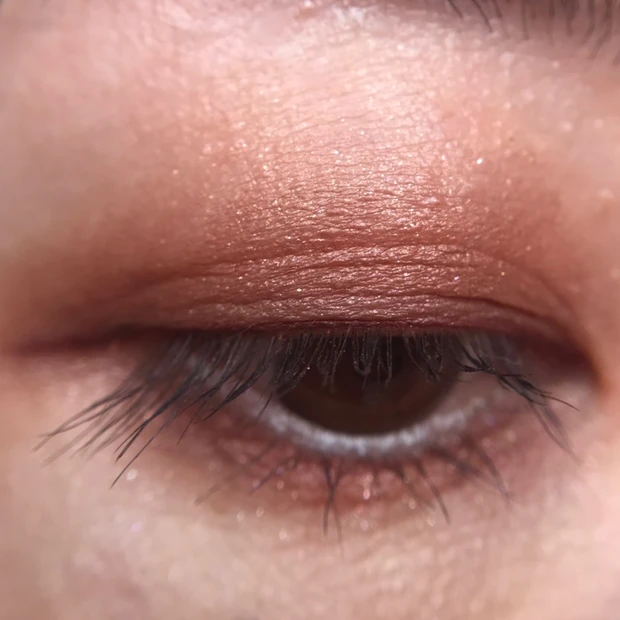 ADDICTION ザアイシャドウパレット008サウザンドロージズ