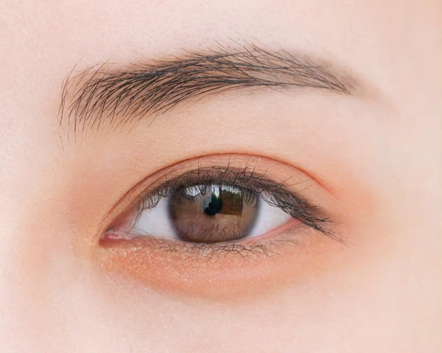 【初心者さん向け】アイシャドウの塗り方特集!基本から応用までプロの解説付きでご紹介_22_1