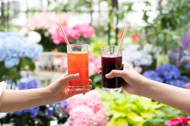 「ファンケル　SDGs week」17種類の健康ドリンクは年間を通じて販売！_4_1