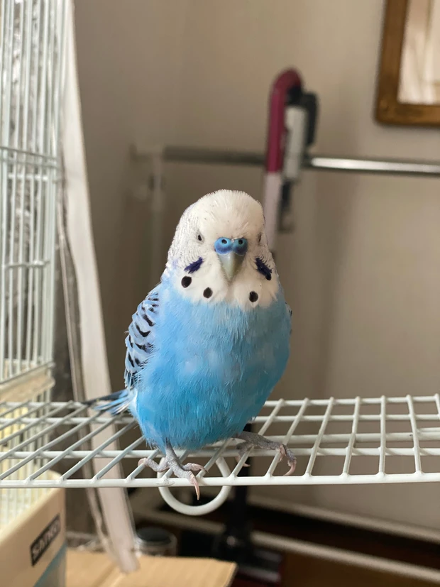 MAQUIAエキスパートのAYUってどんな人？Q&A形式で《自己紹介》。13の問いに答えてみた！_3_2