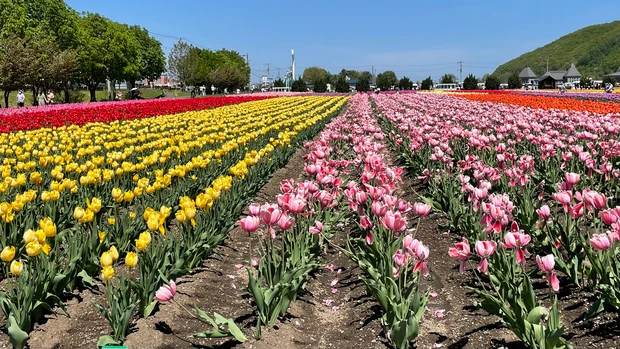 マキアインフルエンサー rena 自己紹介 好きなこと