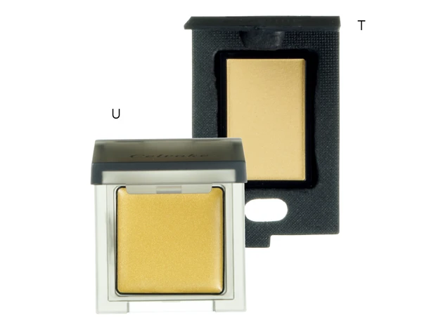 神崎恵の大人のトリセツメイクアップ