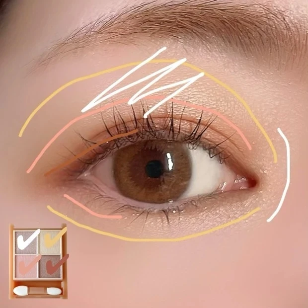 セザンヌ ベージュトーンアイシャドウ 04 ミモザベージュ 使い方・塗り方