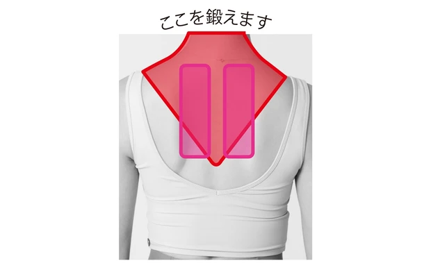 ここを鍛えます