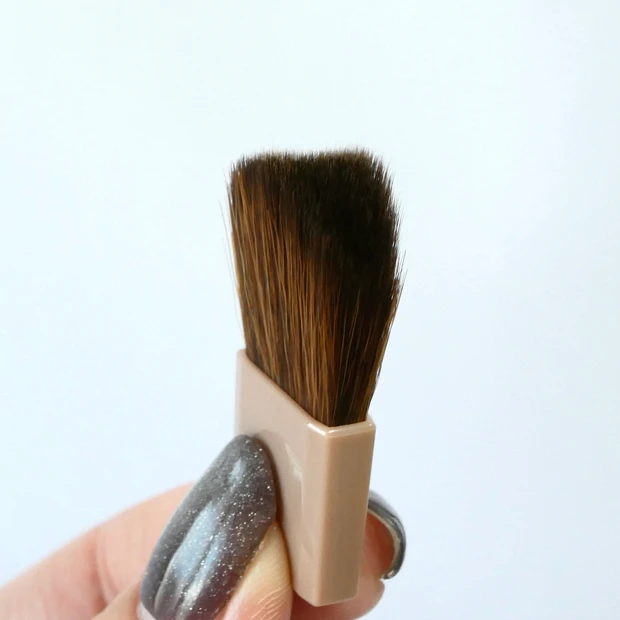 セザンヌ くすみパウダー トーンフィルターハイライト バズりコスメ ブラシ