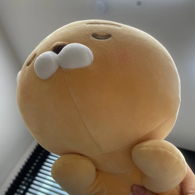 ドクタープチ　江南　効果