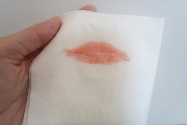 【イエベ肌にオススメ!捨て色なし、高見え可愛いアイシャドウパレット】CANMAKE_14_2