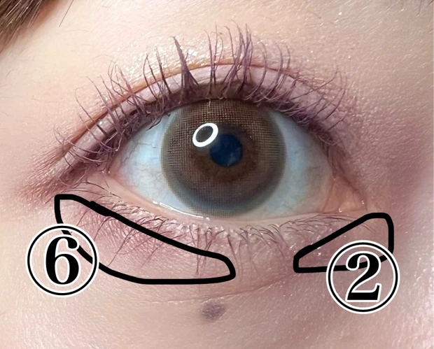 Ｗ デイリームードアップパレット