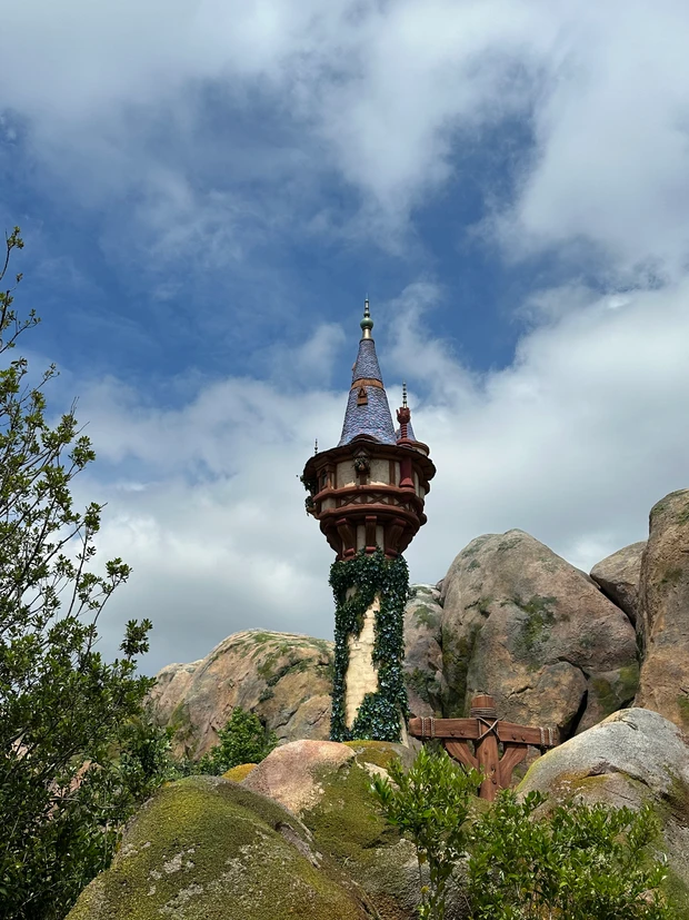 ディズニーシー新エリアファンタジースプリングスに行ってきたよ！現地レポート（1）_8_1