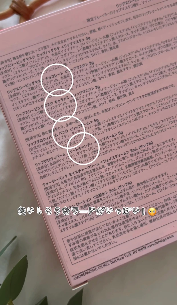 【クリスマスコフレ2025】ホリデー限定🎄LANEIGEのリップバームが楽しめるスペシャルキット🎅🏻🩷_3