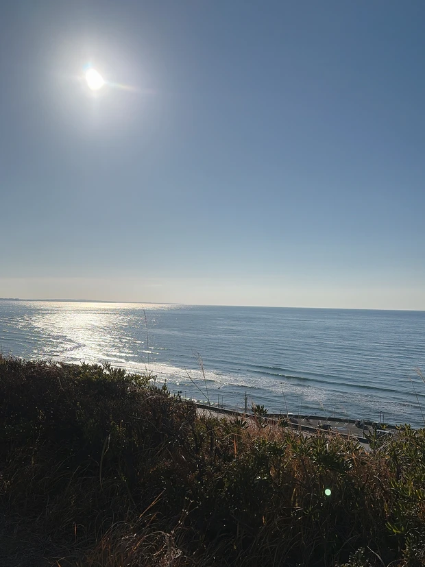 新年初買いはMAC マキシマル シルキー マット リップスティック 665リングジアラーム_1