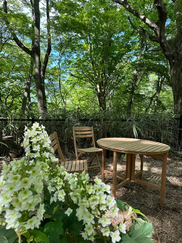 ニコライ・バーグマンが作ったガーデンで森林浴 デトックス!聞いて欲しい園内の廃材利用の工夫。_11_2