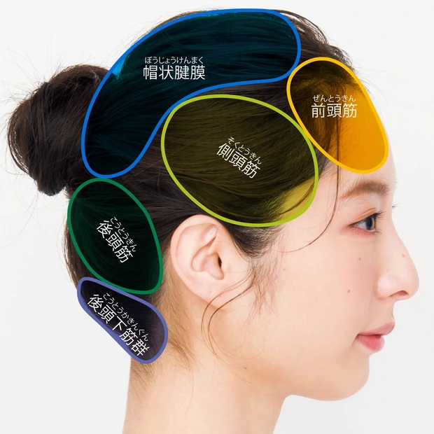 これぞ究極の0円美容！ 顔のたるみ、くすみetc.…頭皮ほぐしでお悩み解…