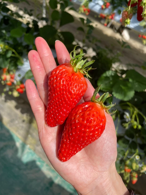 【おすすめ！トラベルセット】
サンプルやミニサイズが大活躍！？
《働く女子》旅行・出張中のリアルな美容事情！_13_2