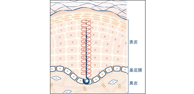マキア　エイジングケア　おすすめ　SK-II　スキンパワー リニュー クリーム フックプロテイン