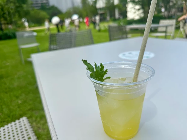 ハーブのビューティドリンクとおしゃれかき氷で夕涼み＠麻布台ヒルズのサマーガーデン_10_1