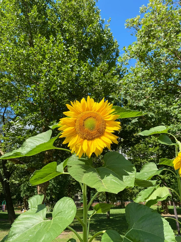 テレワークには欠かせなくなった私のリフレッシュアイテム　クナイプの数量限定
「リフレッシュスプレー」_2_2
