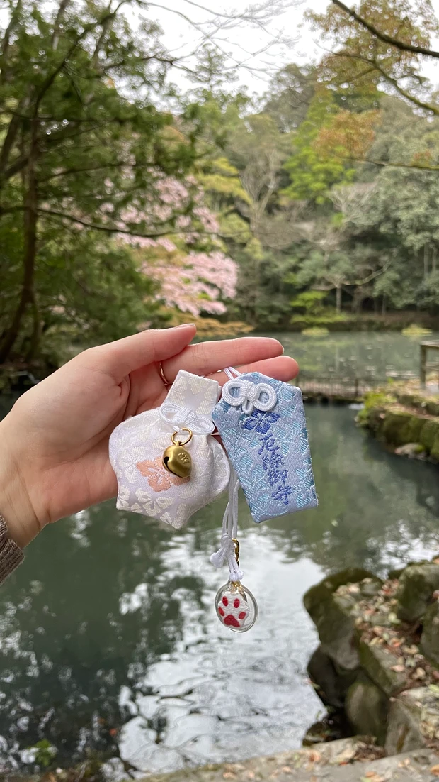 【自己紹介】マキアインフルエンサー１年目、美容家のなつみです！ これからオーガニックの美容について発信していきます♪_2