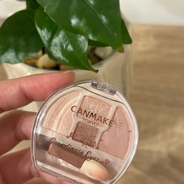 【キャンメイク】プランぷくコーデアイズ N01をレビュー｜大人の涙袋メイクにもおすすめ