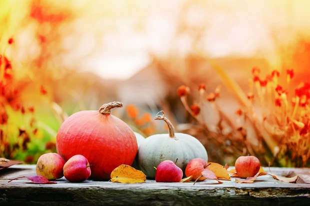 リニューアルしたファンケル 銀座スクエアに行って来ました！_7_2