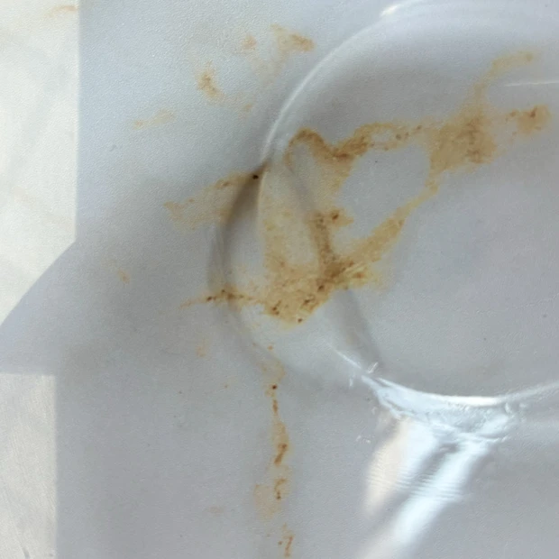 マキア　11月号　付録　カネボウ