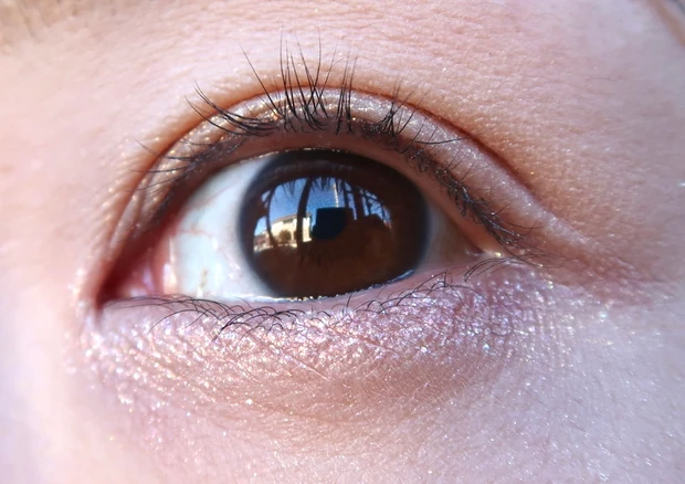 CANMAKE  プランぷくコーデアイズのラメ