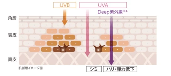 アスタリフト D-UVシールド トーンアップ