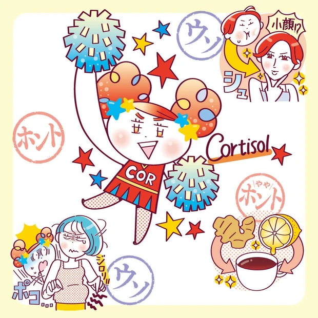 【医師が解説】話題の「コルチゾール」とは? ダイエット&美容への効果のウソ・ホント