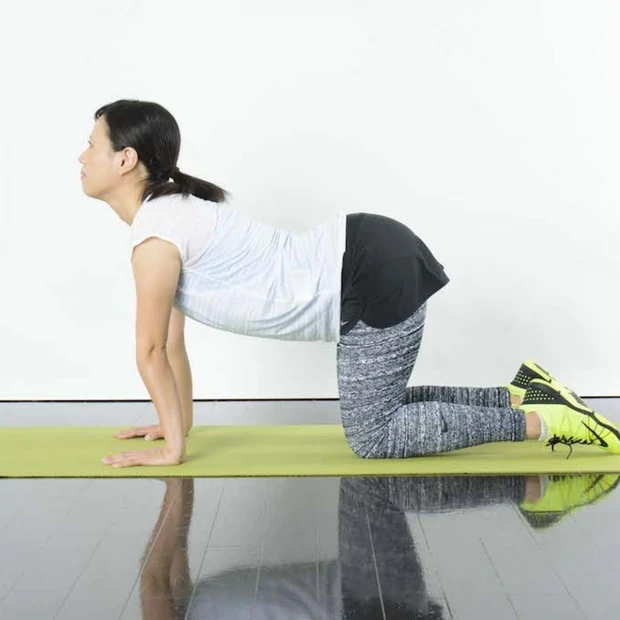 猫ストレッチでガチガチ肩と腰をゆるめる！【プロ直伝】1日の疲れをリセット…