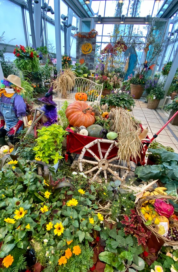 リニューアルしたファンケル 銀座スクエアに行って来ました！_2_2