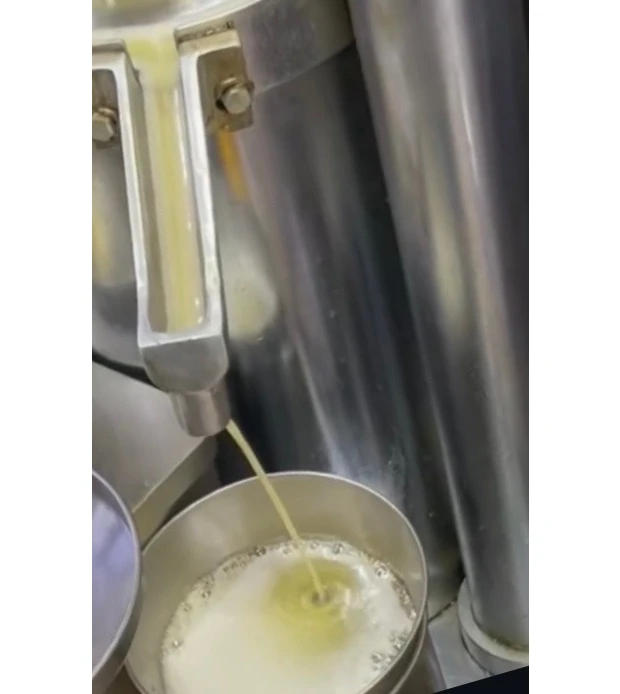 こじはる ・さっしー紹介！搾りたてごま油が美容通に話題！中部市場『忠北製油所』へ行ってみた_7