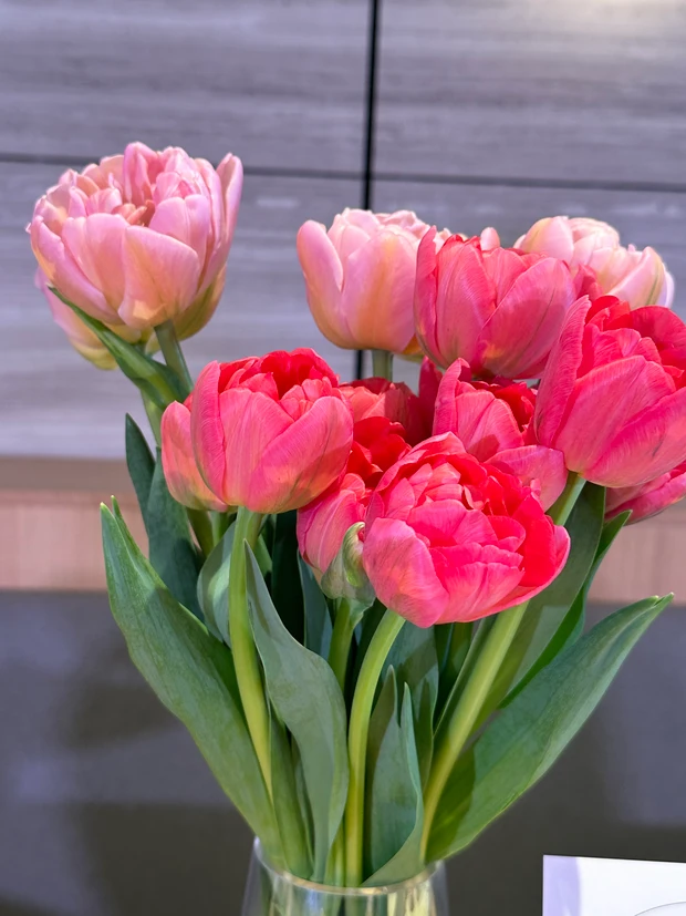 炭酸美容が得意な花王から5感に響く新シリーズ「melt（メルト）」新製品発表会レポート　生炭酸シャンプーに注目！_7_1