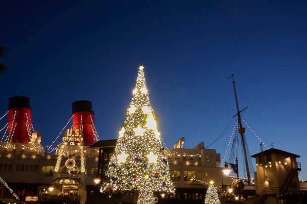 東京ディズニーシー クリスマスツリー 夜景