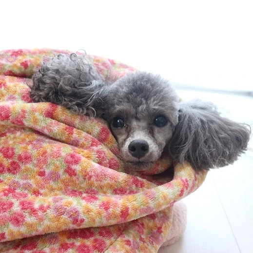 【自己紹介】2020年度もMAQUIAでお世話になります美菜です☆_2