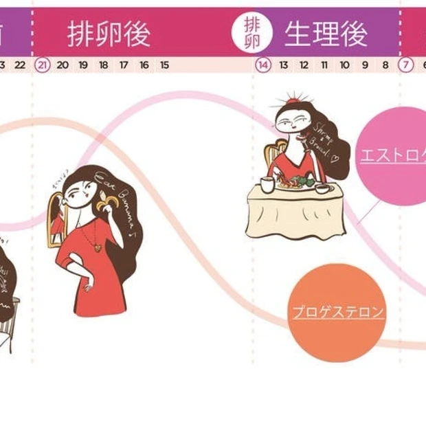ホルモンサイクル別 おすすめ食事プランGALLERY