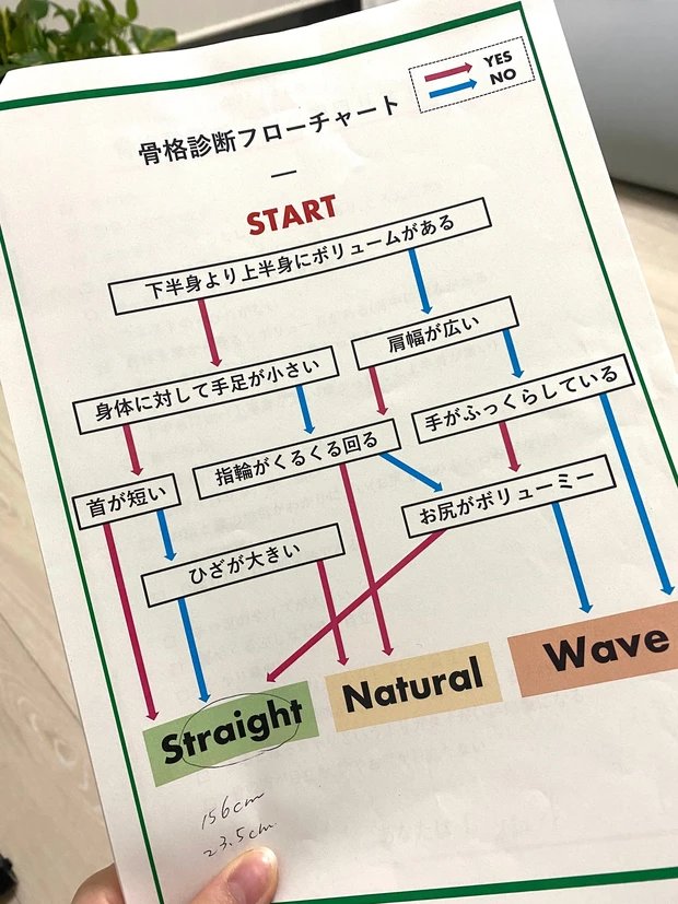 骨格診断フローチャート