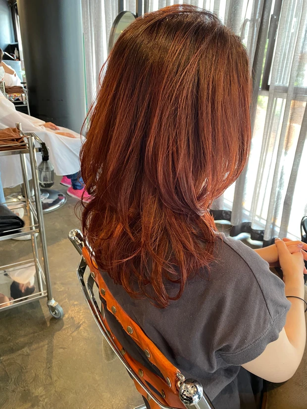 髪の毛 髪 ヘア ヘアスタイル 女性 美容院