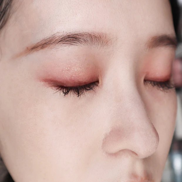 パーフェクトダイアリー エクスプローラ 12色動物パレット オータムチェストナット