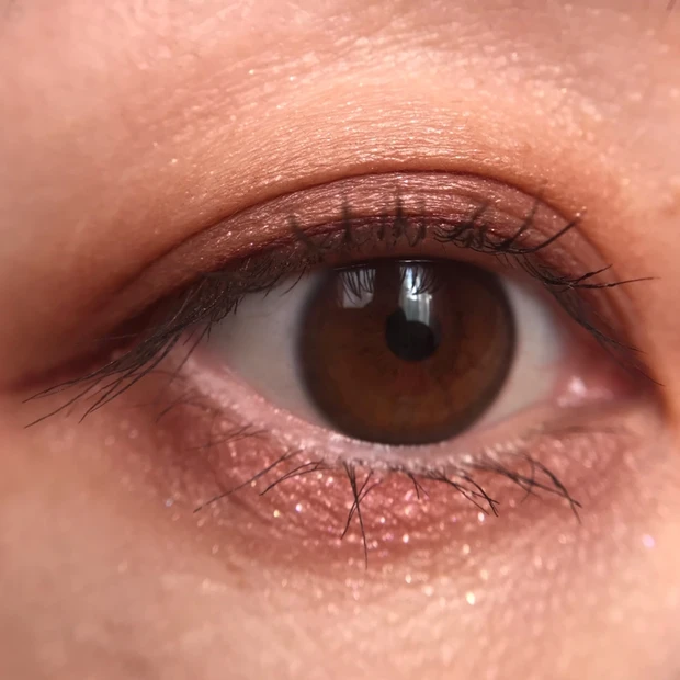 ADDICTION ザアイシャドウパレット008サウザンドロージズ