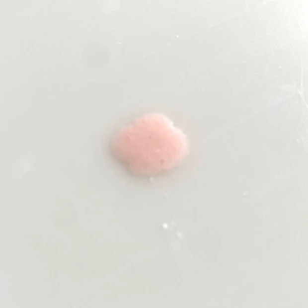 新発売のHACCIのハニー酵素洗顔パウダー「スキップウォッシュ」は他の酵素系洗顔とここが違った。_3_1