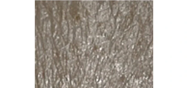 【夏の冷スキンケア】朝・昼・夜におすすめのスキンケアアイテム PhotoGallery_1_5